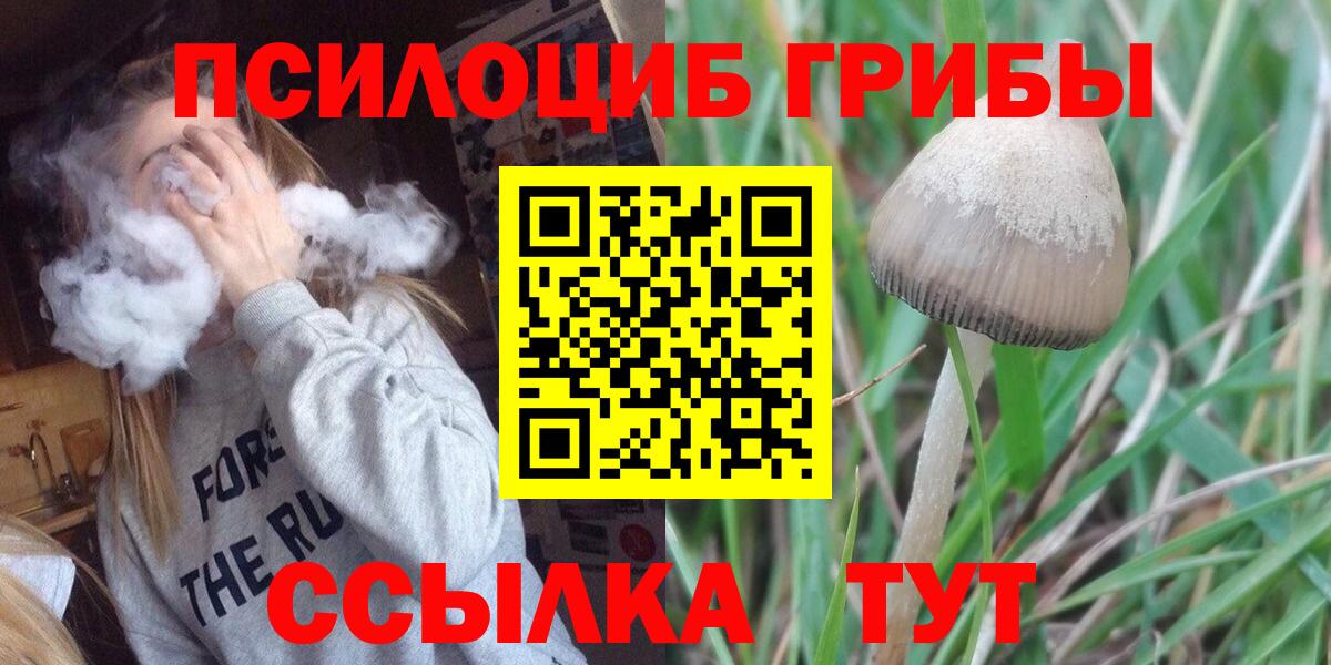 Лениногорск  Псилоцибиновые грибы Psilocybine cubensis  магазин    Вход с VPN 