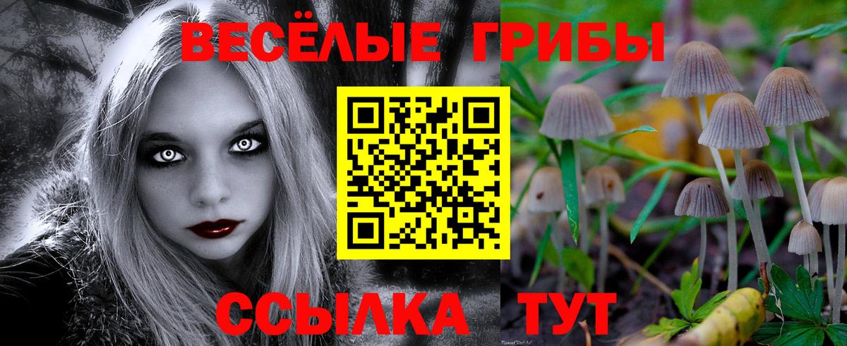 Псилоцибиновые грибы ЛСД Лениногорск
