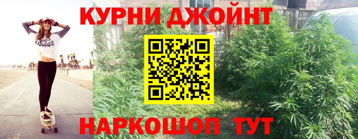 Конопля семена Лениногорск